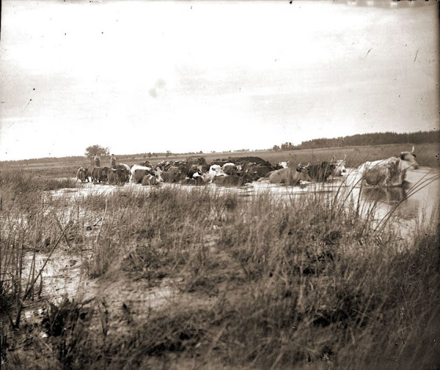 Środkowym Zachodzie